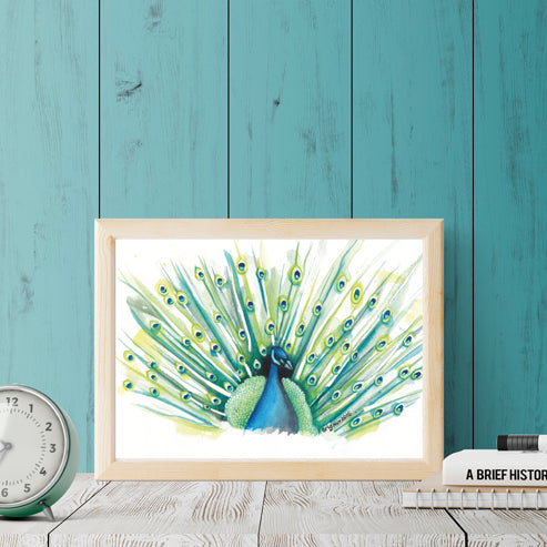Framing mock-up of Brigitte James’s Peacock Watercolour in a light wooden frame against a teal wall, beside a clock and books.